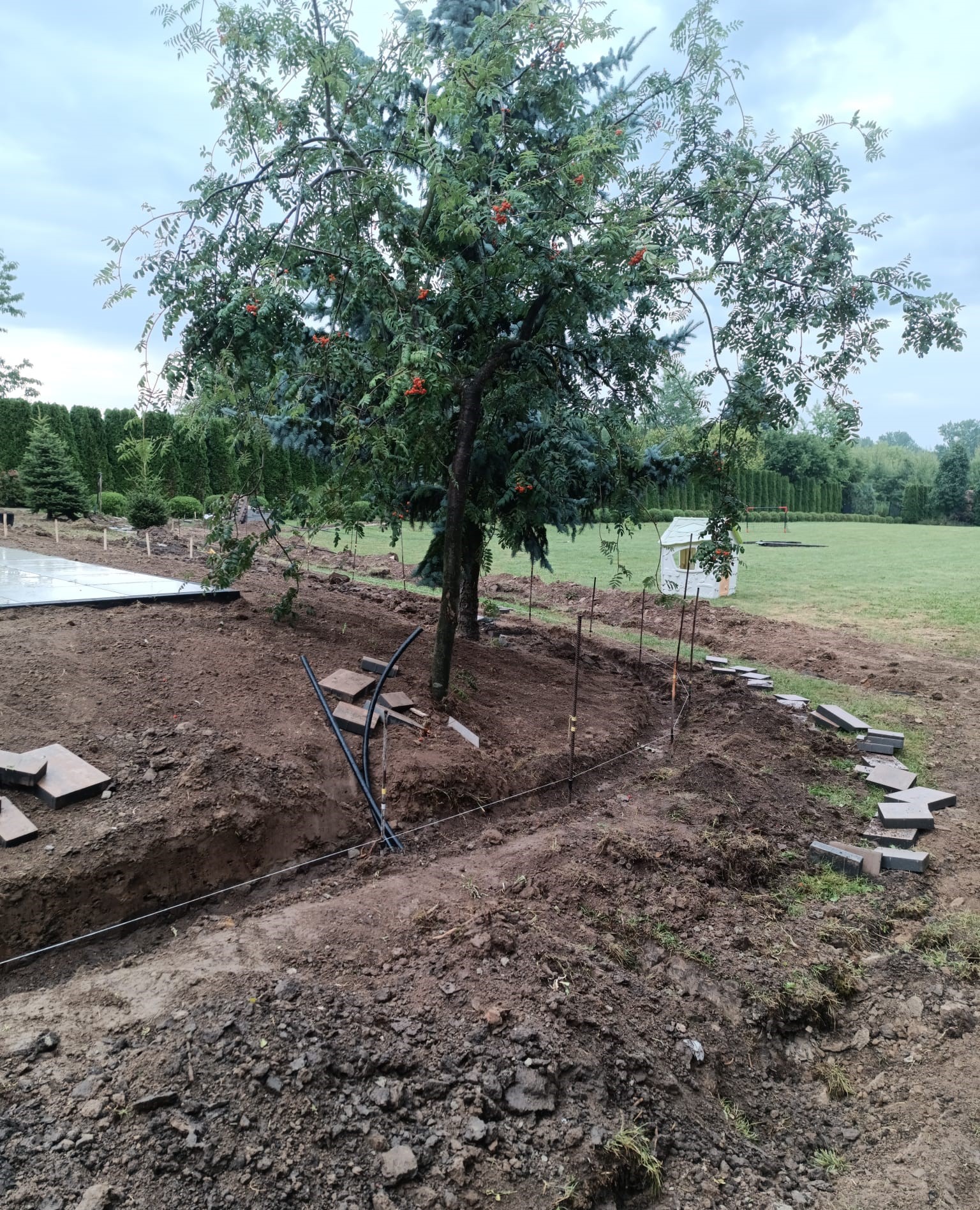 Obrzeże trawnika pod robota koszącego - Lublin